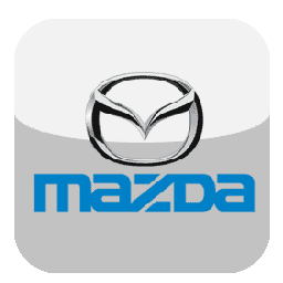 car locksmith, Car locksmith